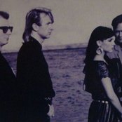 Cock Robin - List pictures