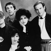 Tribe - List pictures