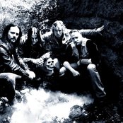 Wolf - List pictures