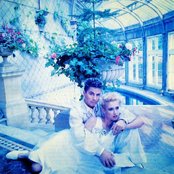 Dollar - List pictures