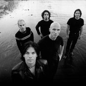 Stabbing Westward - List pictures