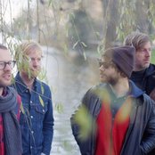 Moss - List pictures