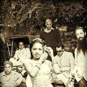 Dengue Fever - List pictures