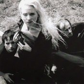 Artrosis - List pictures