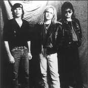 Survivor - List pictures