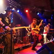 Jaya The Cat - List pictures