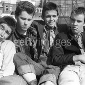 Sham 69 - List pictures