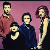 Lush - List pictures