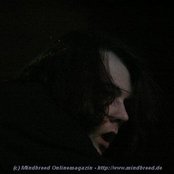 Detritus - List pictures