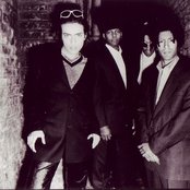 Bablyon Zoo - List pictures