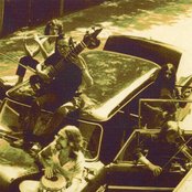 Krokodil - List pictures