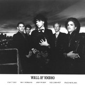 Wall Of Voodoo - List pictures