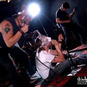 The Bunny The Bear - List pictures