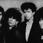 Lords Of The New Church - List pictures