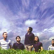 Padi - List pictures