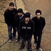 Taproot - List pictures