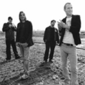 Blue Merle - List pictures