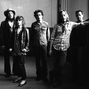 Vetiver - List pictures