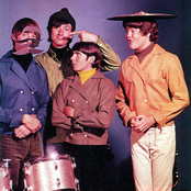 Monkeys - List pictures