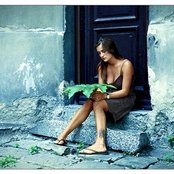 Ruth - List pictures