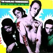 Fabulous Thunderbirds - List pictures