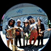 The Skins - List pictures