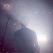 Year Of The Rabbit - List pictures