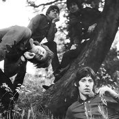 The Creation - List pictures