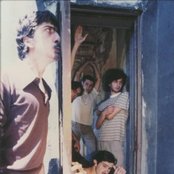 Ornatos Violeta - List pictures