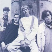 Ride - List pictures