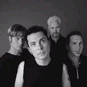 Oleander - List pictures