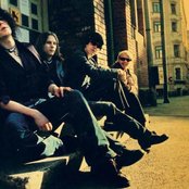 Tehosekoitin - List pictures