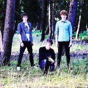 Dog Is Dead - List pictures