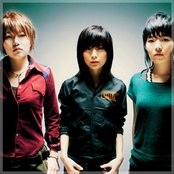 Chat Monchy - List pictures