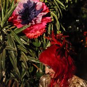 Kim Boekbinder - List pictures