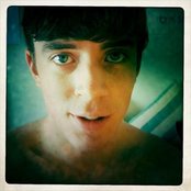 Yellow Ostrich - List pictures