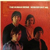 The Human Beinz - List pictures