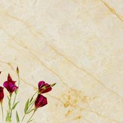 Re:plus - List pictures