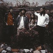 Quilt - List pictures