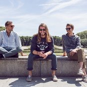 Mighty Oaks - List pictures