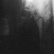 Sorrow - List pictures