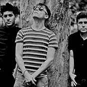 Libido - List pictures