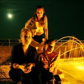 Avery - List pictures