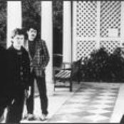 Soft Boys - List pictures