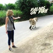 Palms On Fire - List pictures