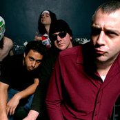 Dwarves - List pictures