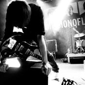 Division Of Laura Lee - List pictures