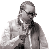 Harvey Stripes - List pictures