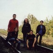 Forgive-me-not - List pictures