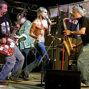 Stooges - List pictures